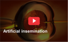 artificial_insemination